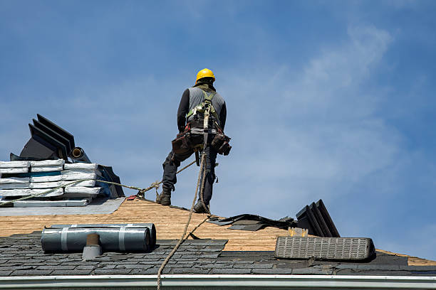 Professional Roof Replacement technician working in Lorane, OR